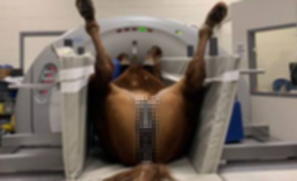 【画像】 メスさん、大開脚で検査しているところを撮影されてしまう（モザイク無し）ｗｗｗｗｗｗｗ